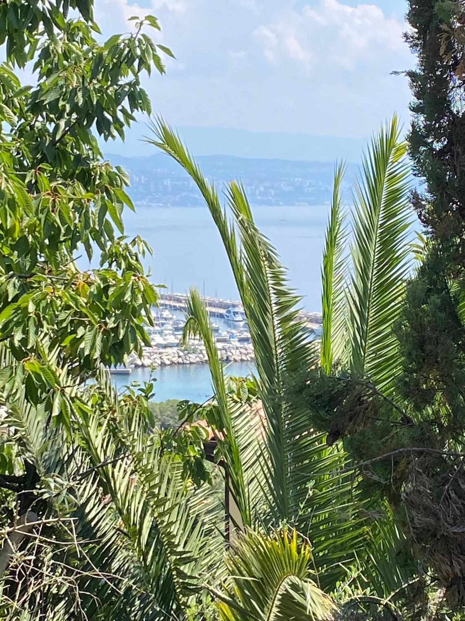 Villa Salyna Ičići Kültér fotó