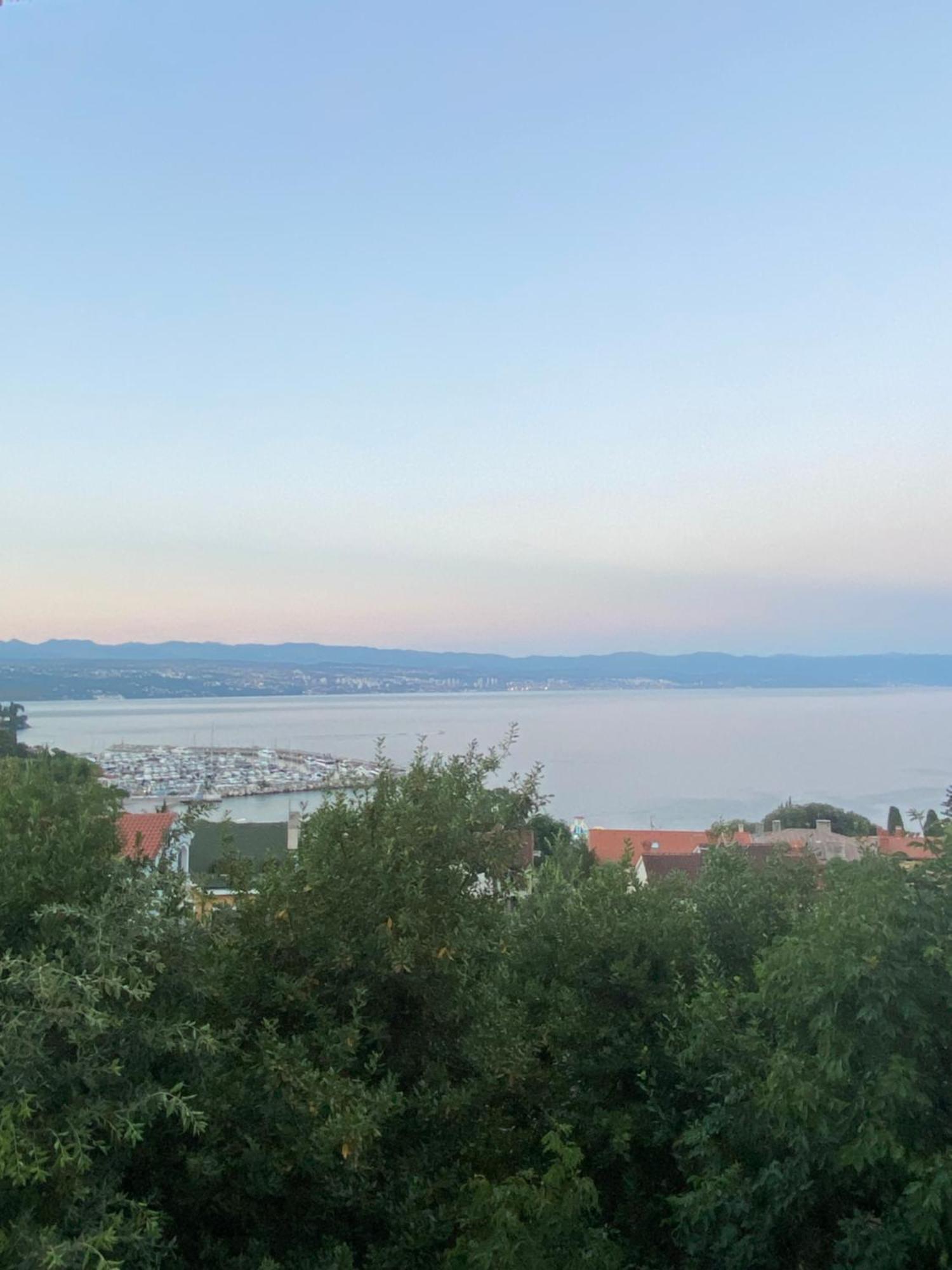Villa Salyna Ičići Kültér fotó